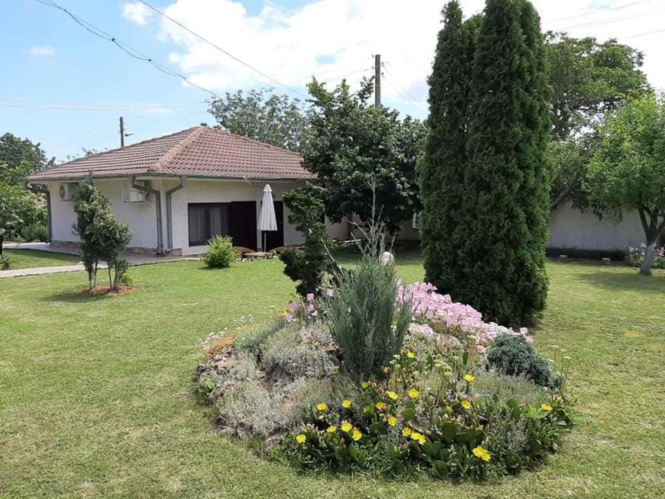 Guesthouse Oasis-Şabla Exterior foto