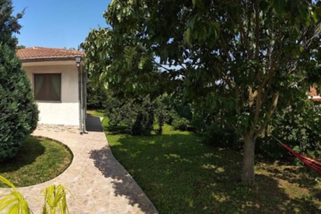 Guesthouse Oasis-Şabla Exterior foto